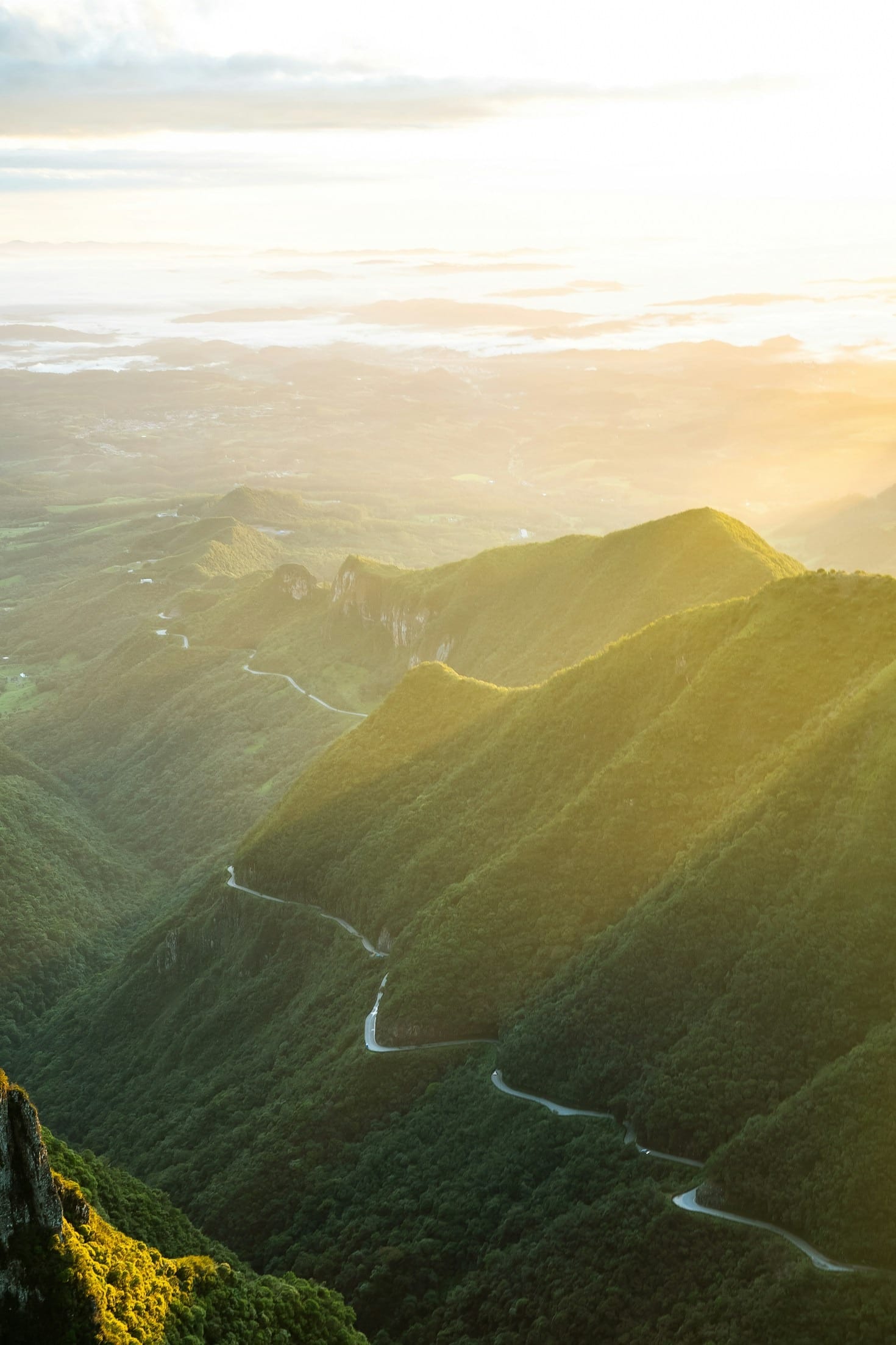 Sustainable Programs That Truly Make a Difference